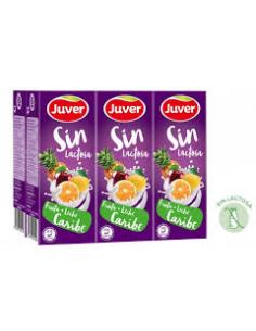 Zumo Juver tropical sin lactosa (pack 6) - Imagen 1