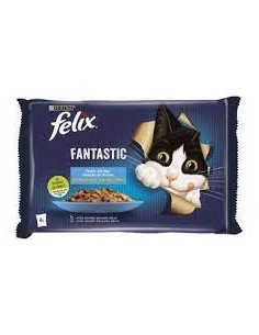 Felix fantastic fetin del...